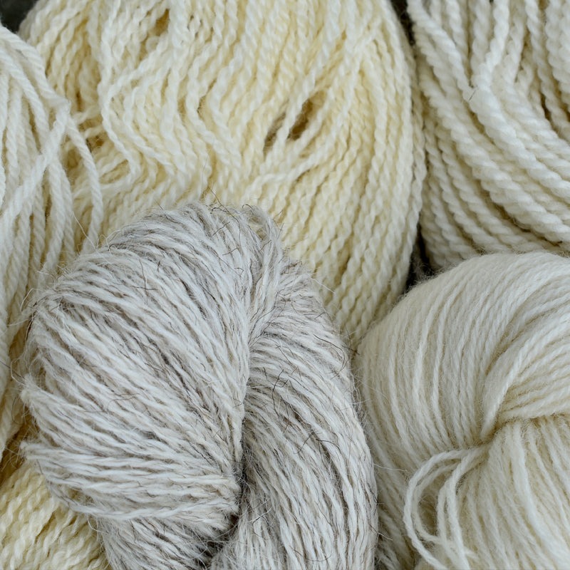  Single Breed Wool Yarns - Skeins