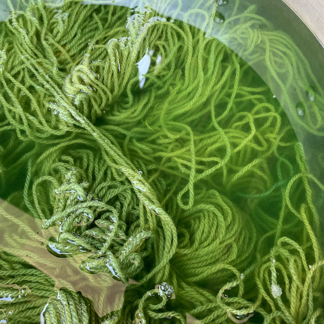  lovely spring green yarn being stirred in a dye pot  