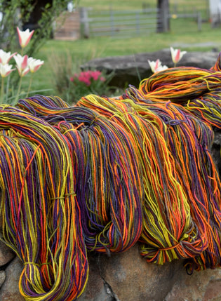  some of the skeins of "a shot in the dark" special colorway for Maryland Sheep & Wool 2021