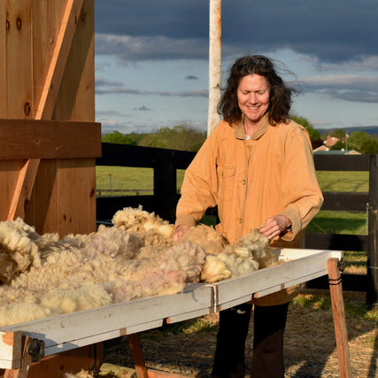  Kathy Reed, Solitude Wool partner is skirting Dorset fleece at a farm in the Shenandoah Valley