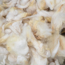  Gulf Coast Native washed fleece, SW1123, 4 oz